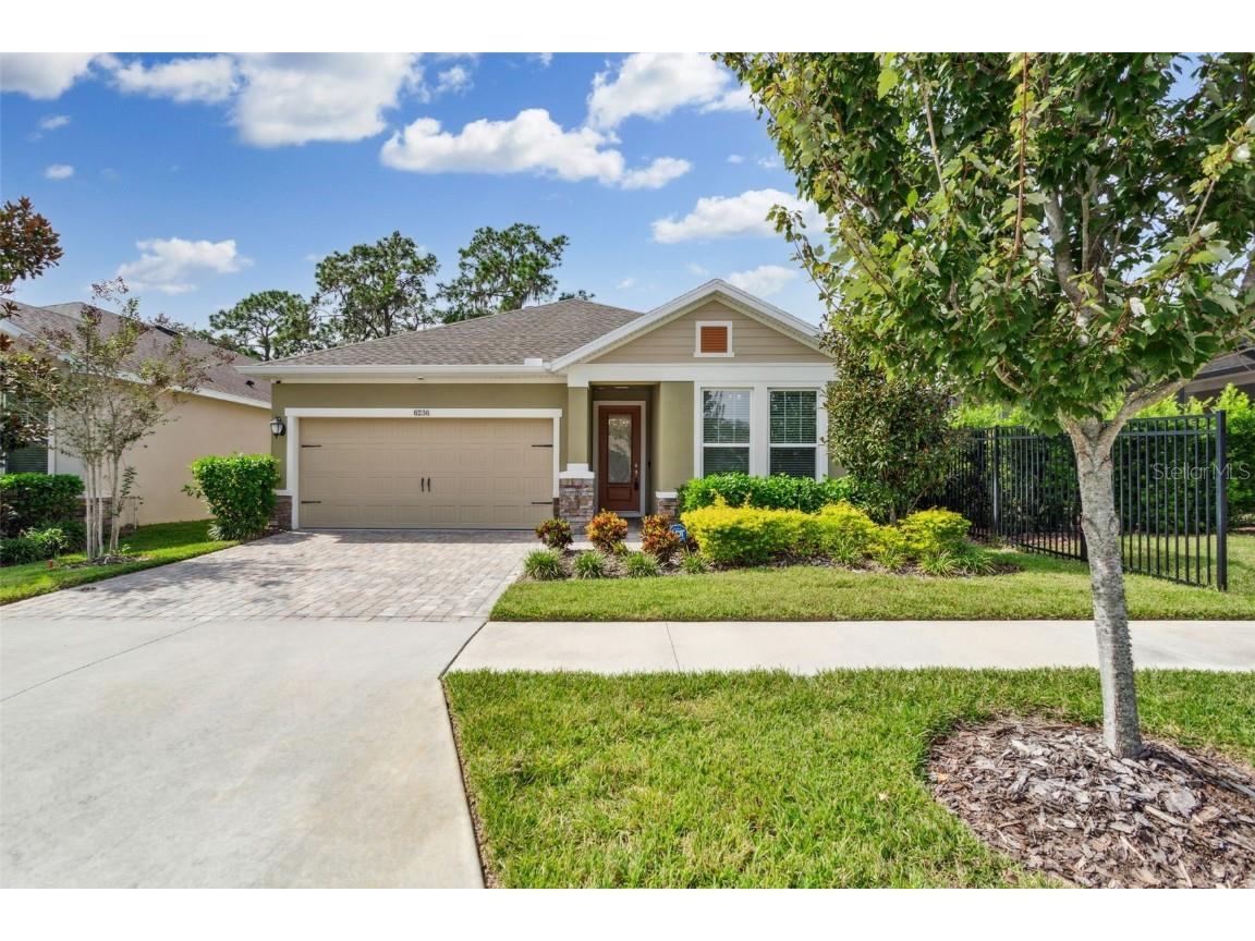 6236 Plover Meadow Street Lithia FL 33547 T3481755 image1