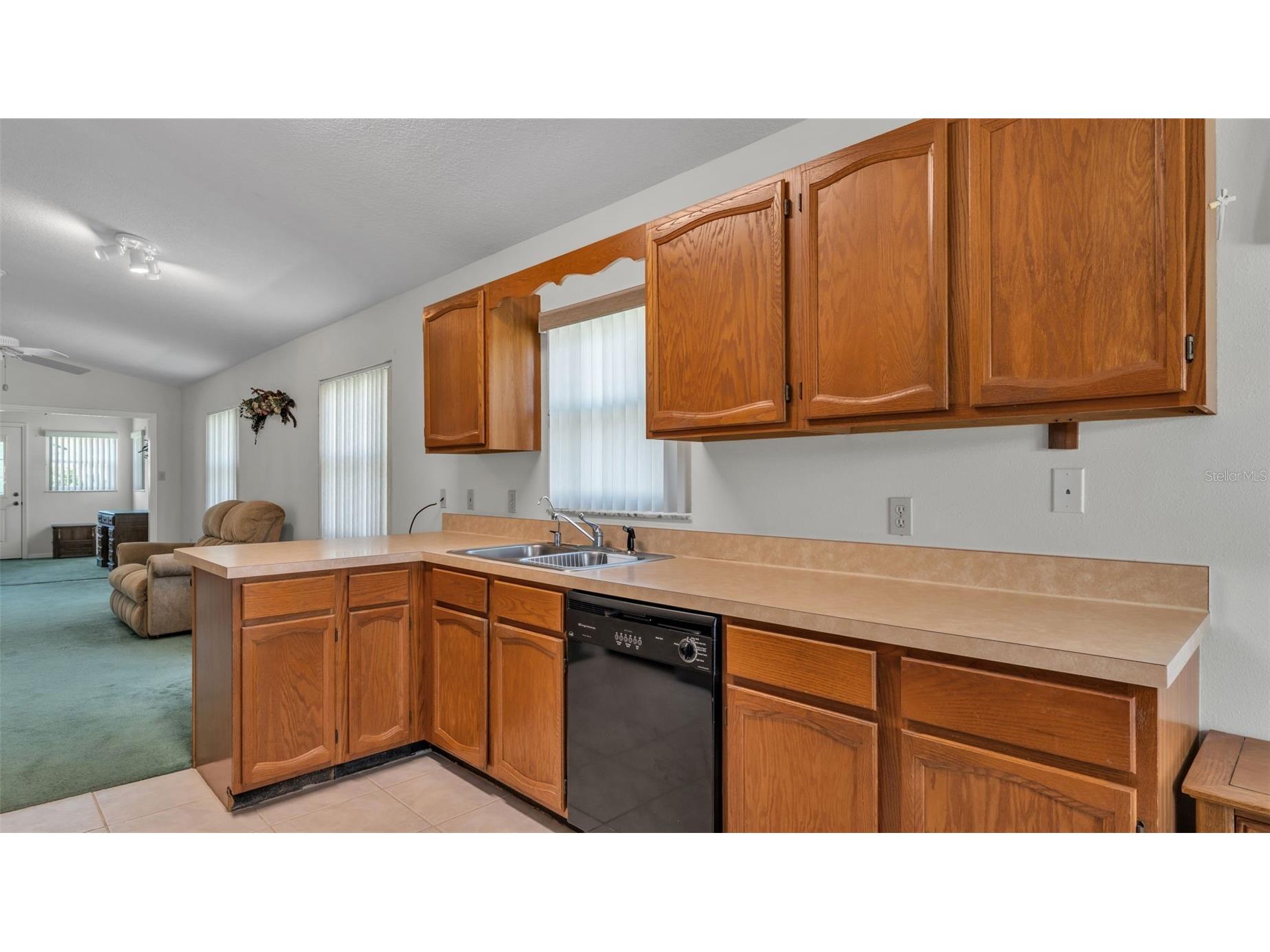 6236 Raven Run Lakeland FL 33809 L4960274 image25