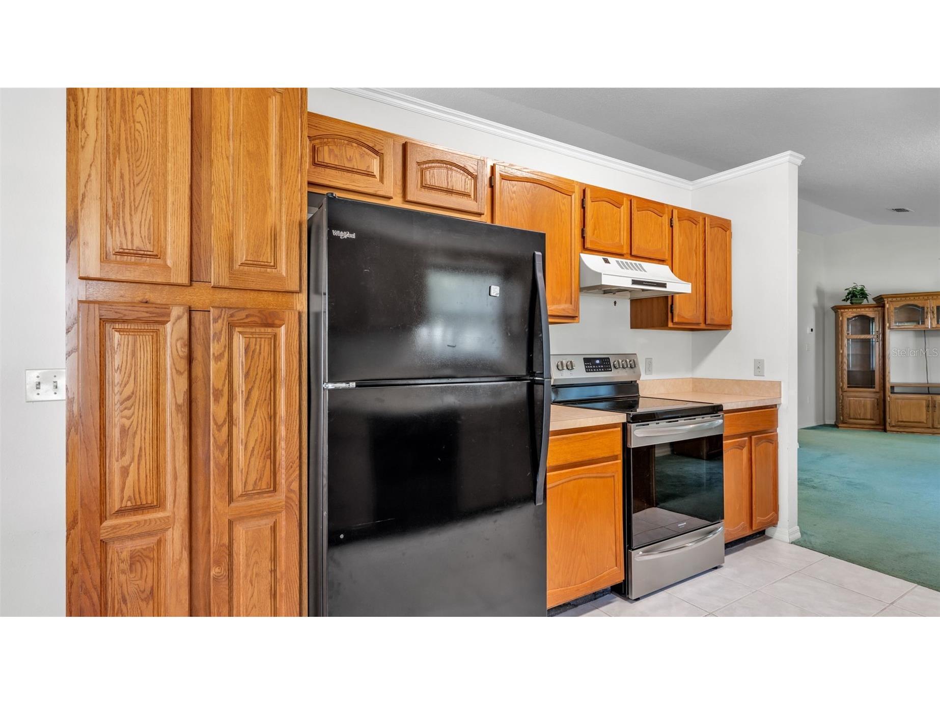 6236 Raven Run Lakeland FL 33809 L4960274 image26