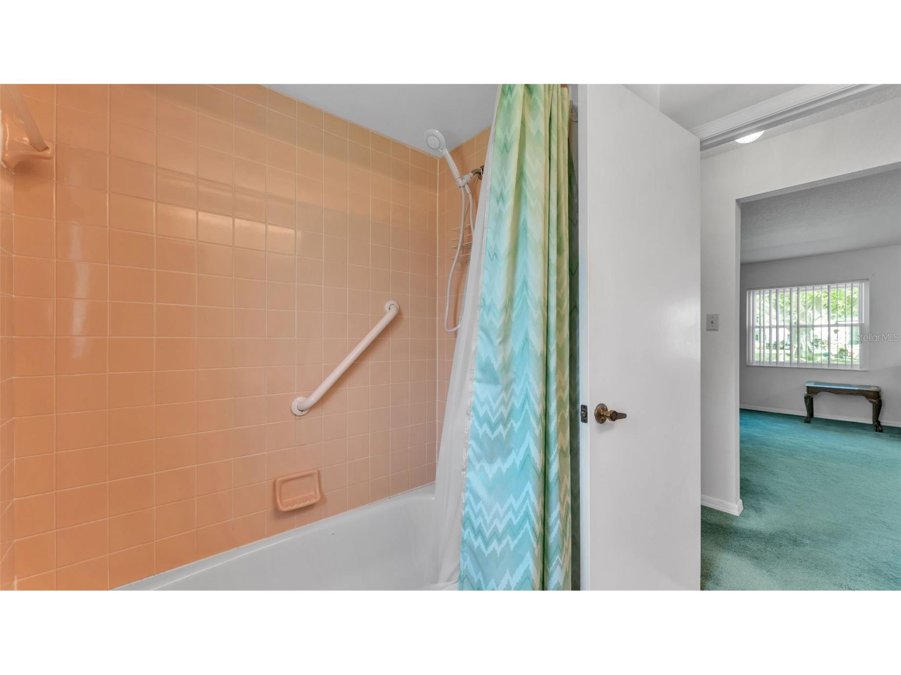 6236 Raven Run Lakeland FL 33809 L4960274 image6
