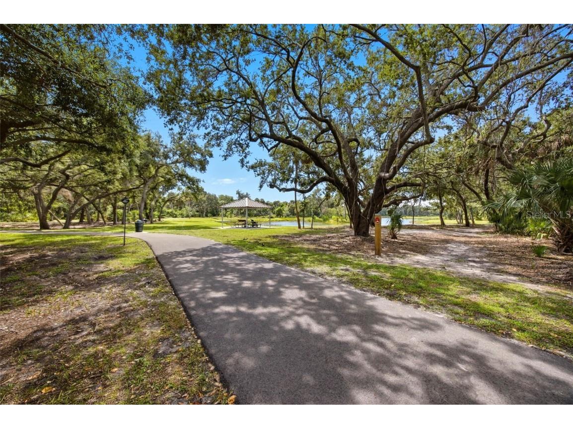 6236 S Martindale Avenue Tampa FL 33611 TB8434499 image27