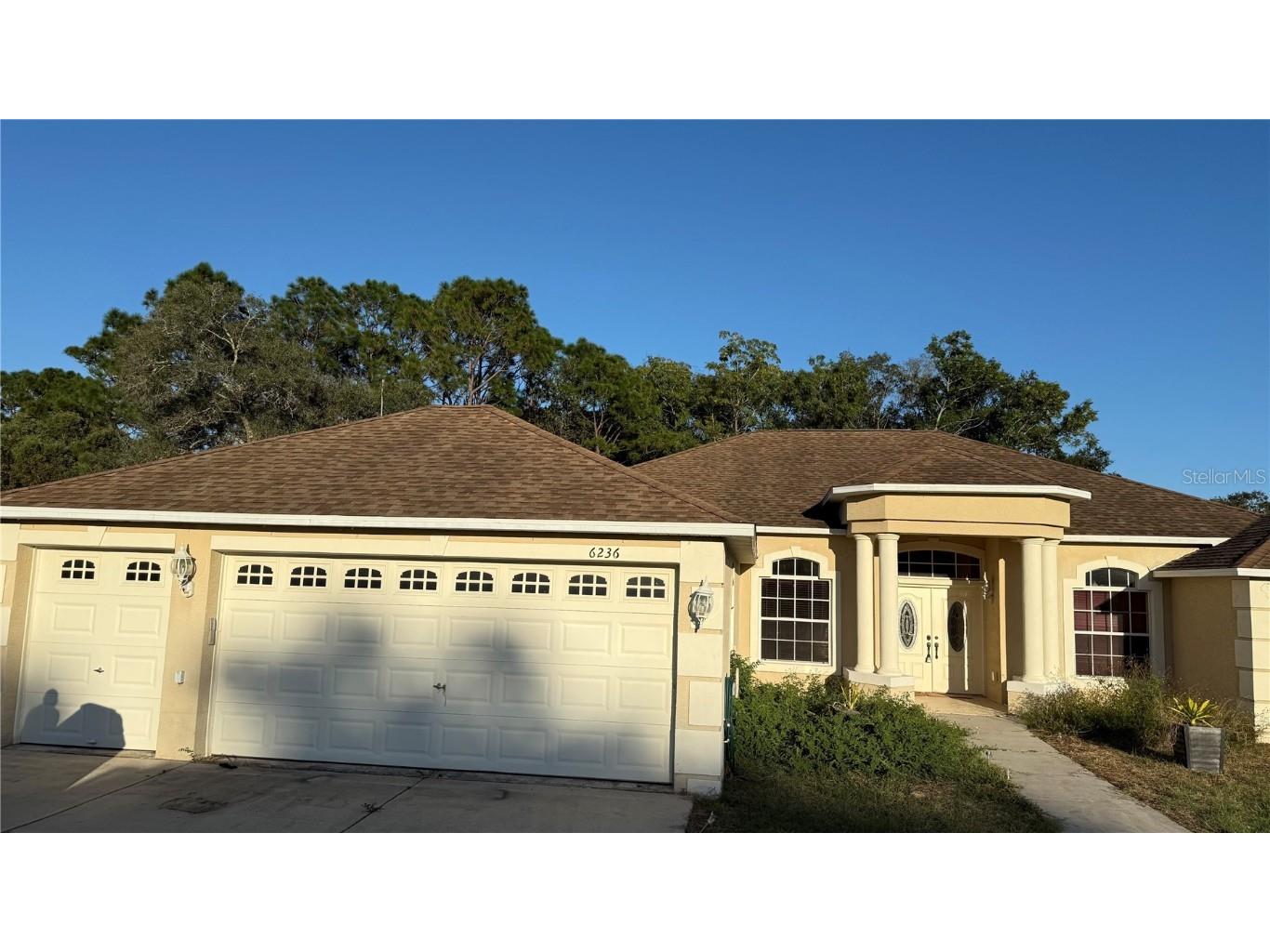 6236 Sebastian Drive Spring Hill FL 34609 TB8447936 image1