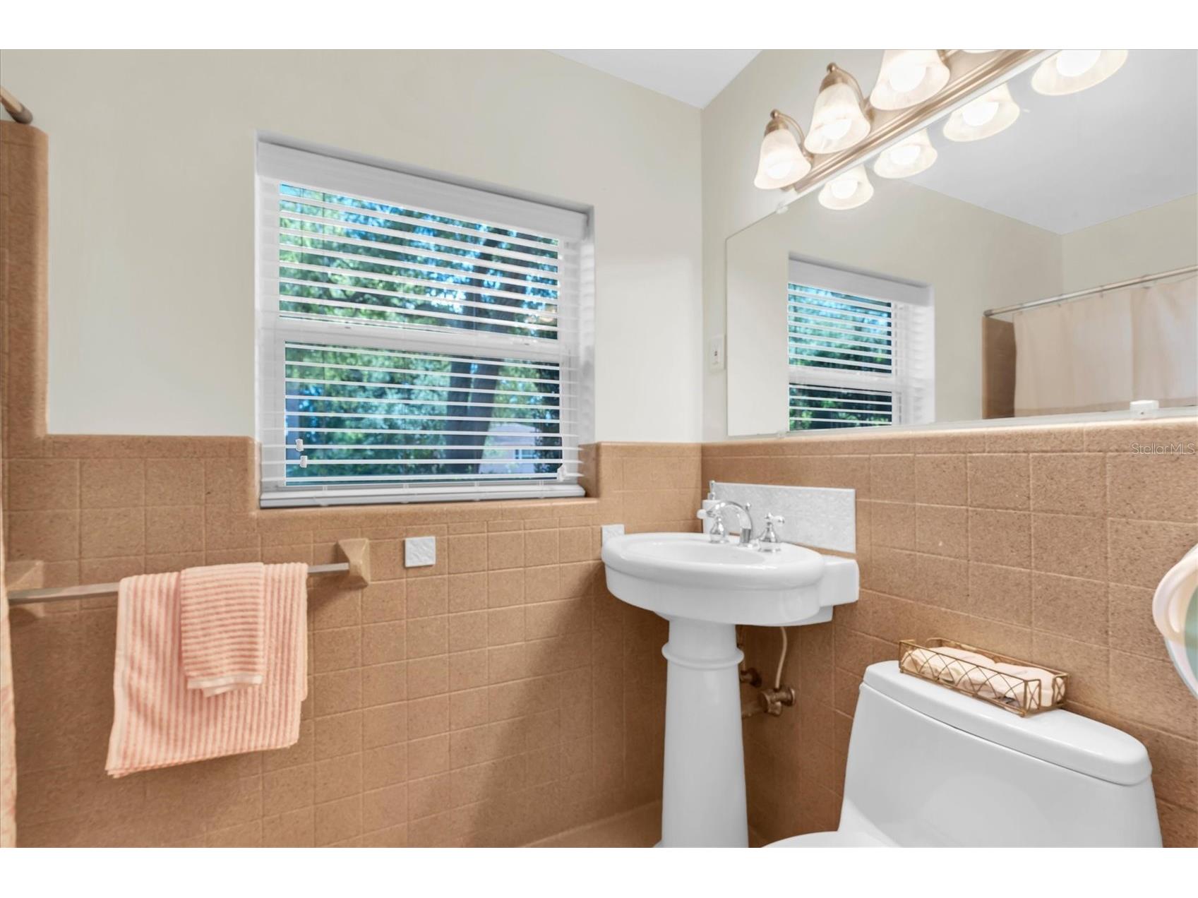 6237 13th Avenue S Gulfport FL 33707 TB8513552 image21