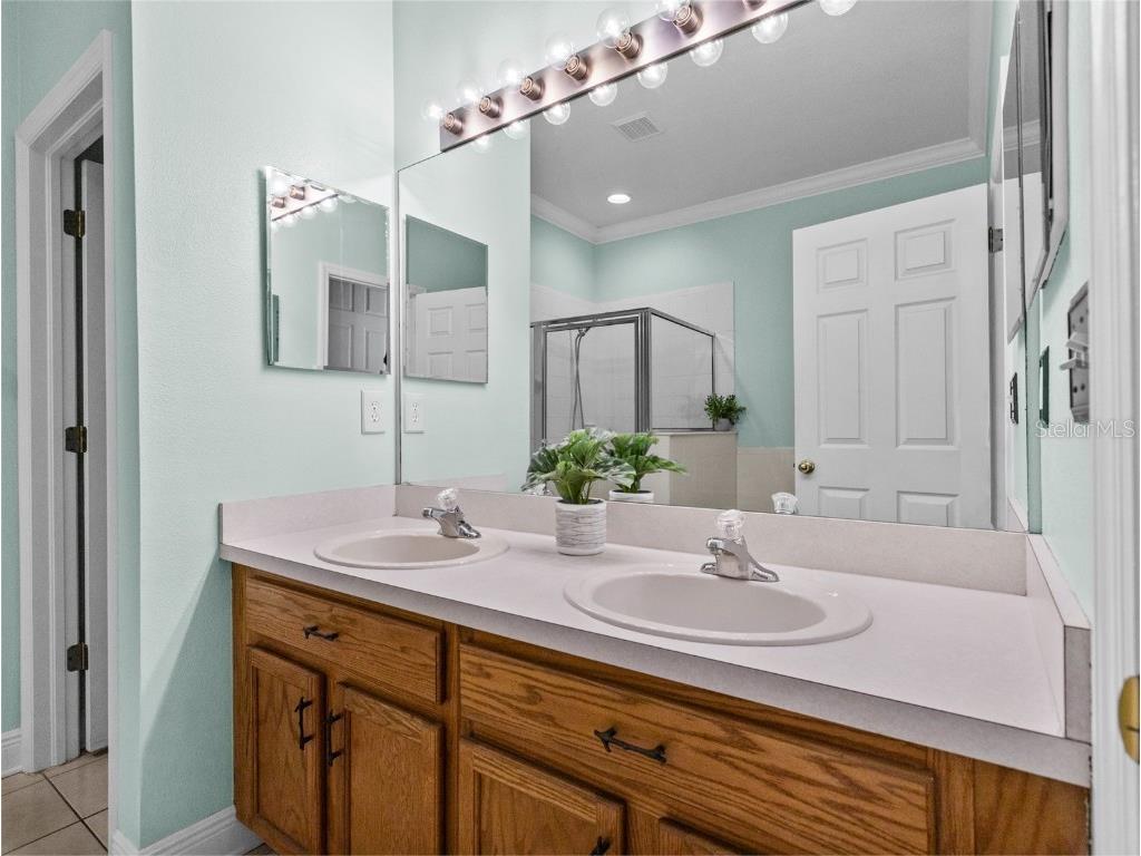 6237 Dainty Bess Court Land O Lakes FL 34639 TB8451119 image13