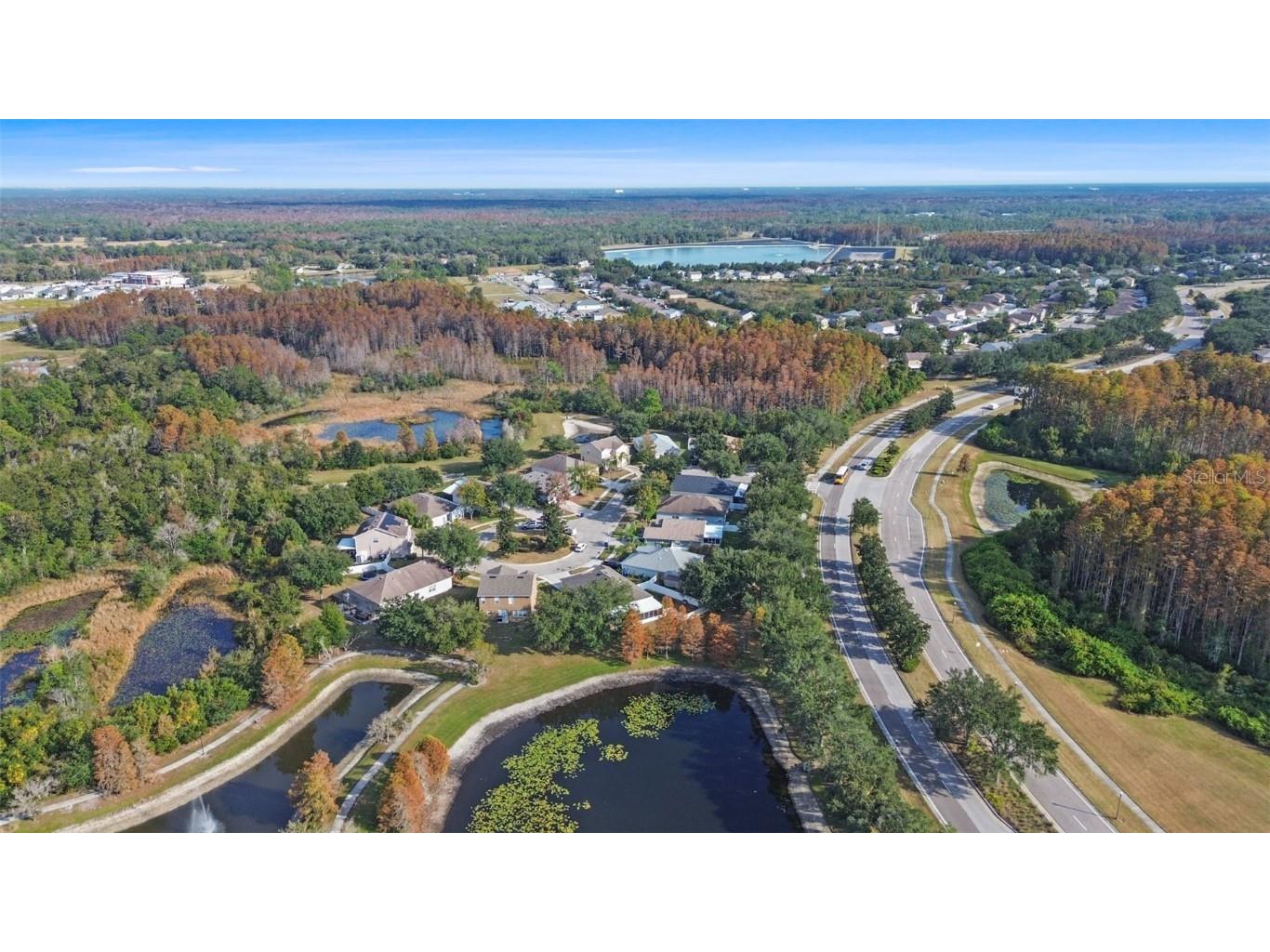 6237 Dainty Bess Court Land O Lakes FL 34639 TB8451119 image27