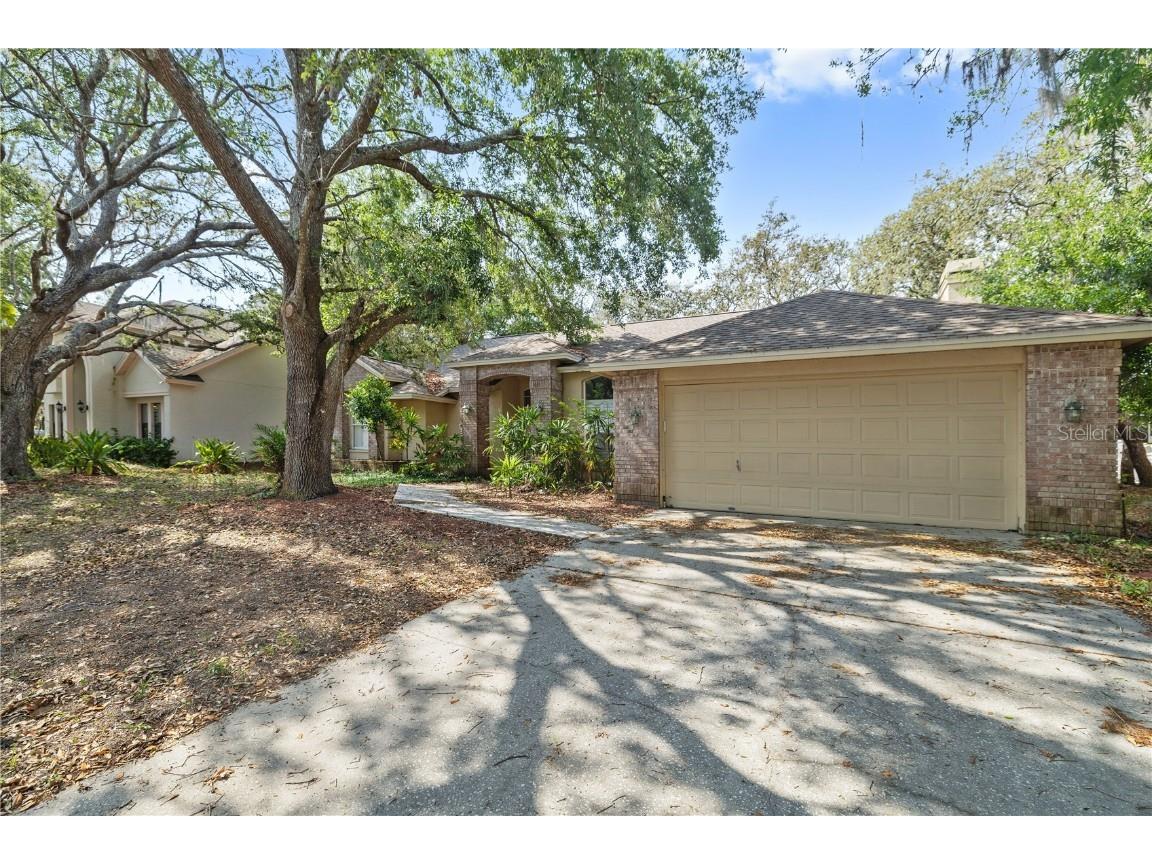 6237 Greenwich Drive Tampa FL 33647 TB8383378 image1