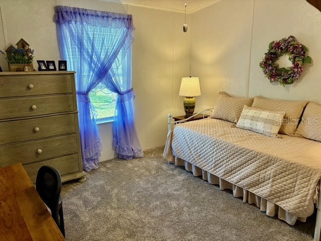 6239 Knotty Pine Drive SE Winter Haven FL 33884 P4936684 image14