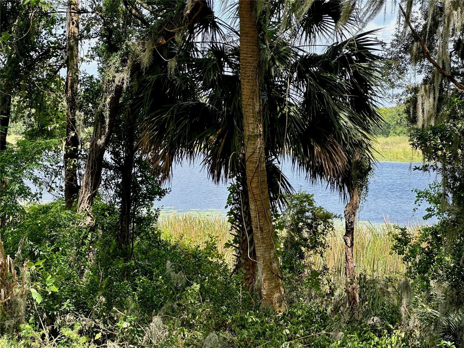 624 Arbor Lakes Circle #624 Sanford FL 32771 O6398547 image13