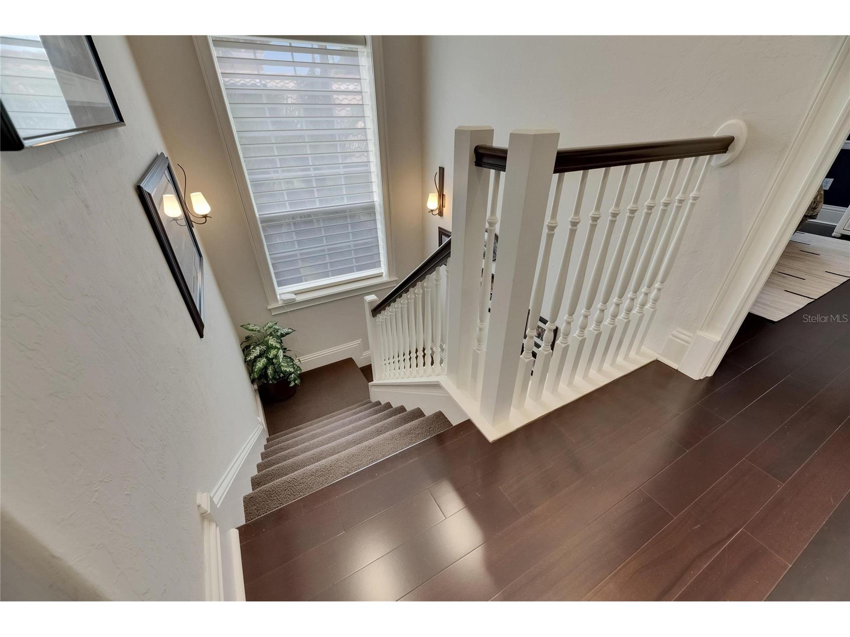 624 Balibay Road Apollo Beach FL 33572 TB8501029 image64