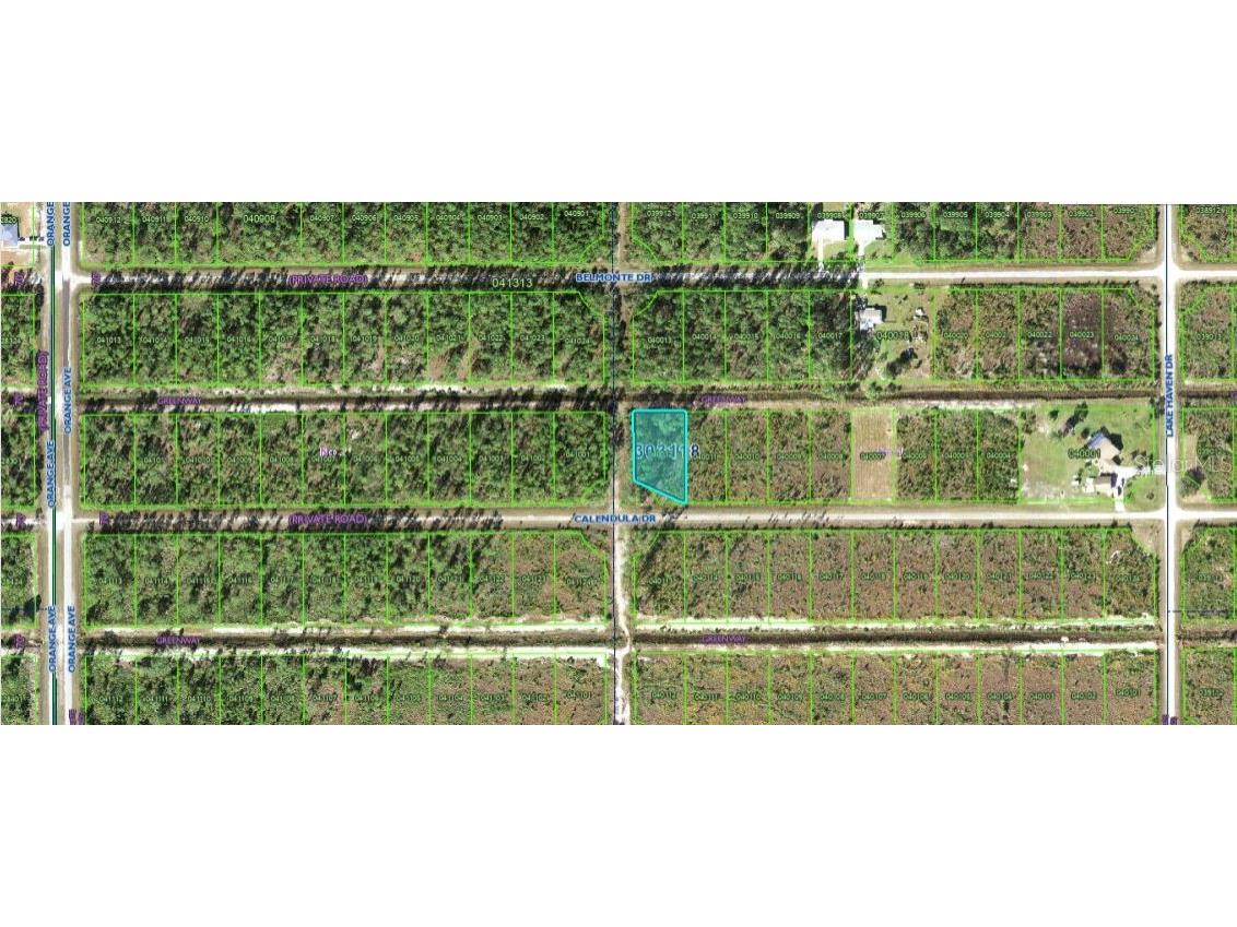 624 Calendula Drive Indian Lake Estates FL 33855 O6312597 image4