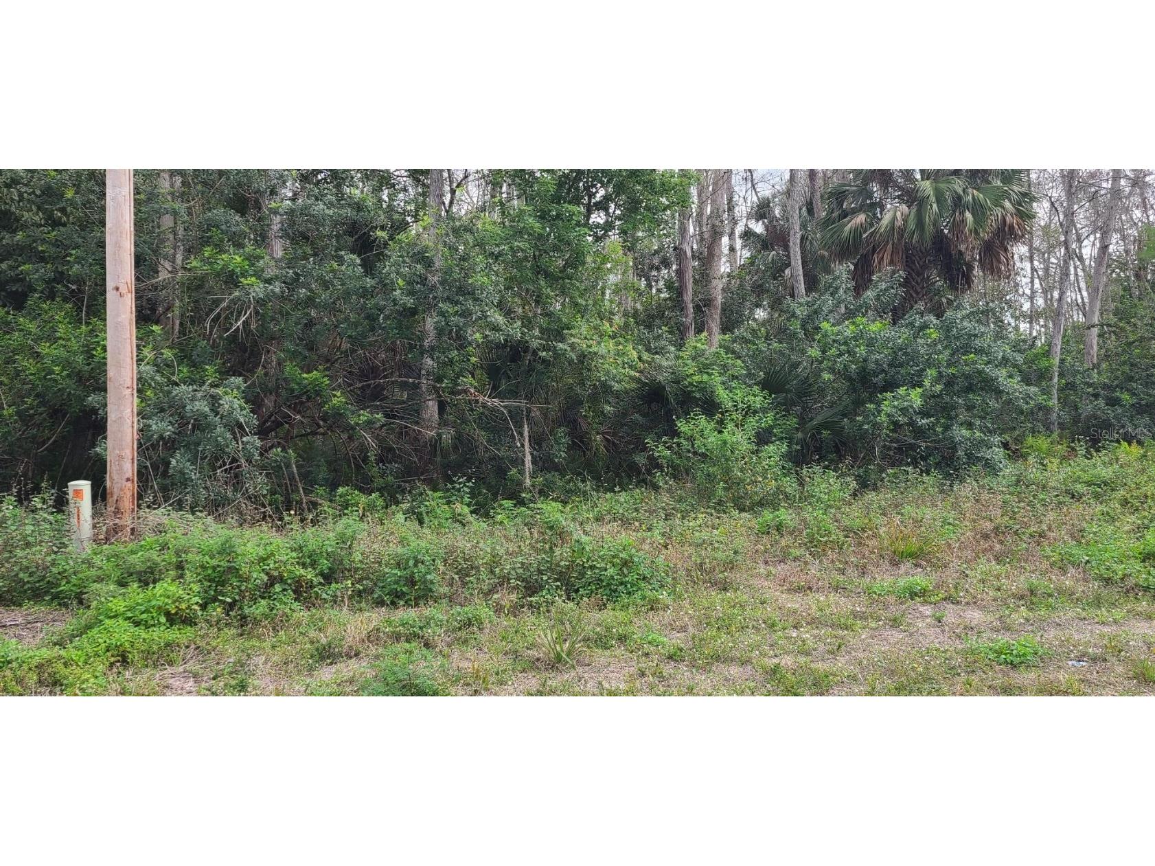 624 Delmonico Street Lehigh Acres FL 33974 W7862788 image1