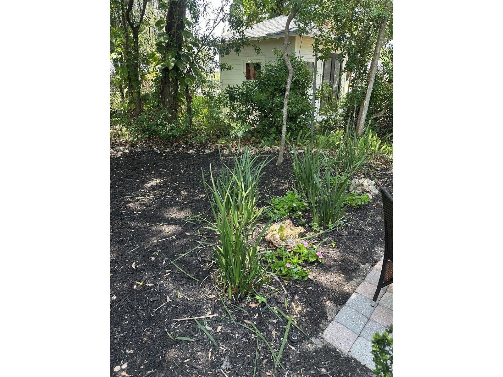 624 Fifth Street Clermont FL 34711 G5111726 image19