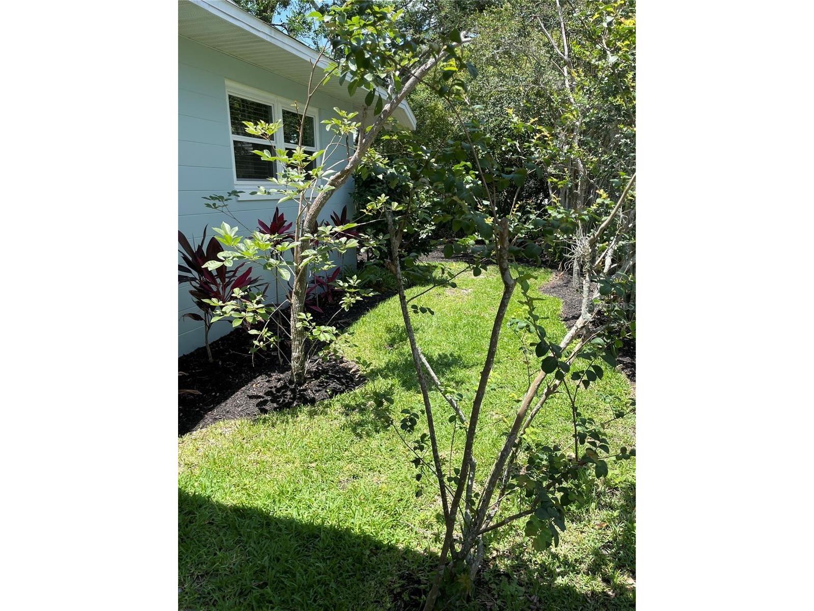 624 Fifth Street Clermont FL 34711 G5111726 image22