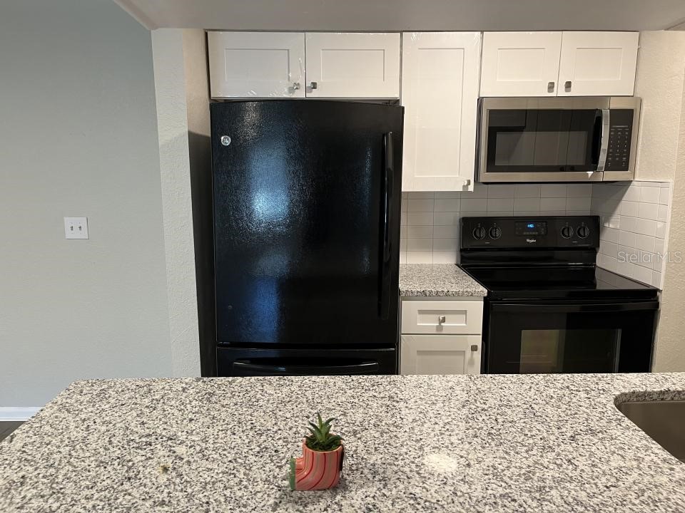 624 Golden Raintree Place #624 Brandon FL 33510 O6249649 image2