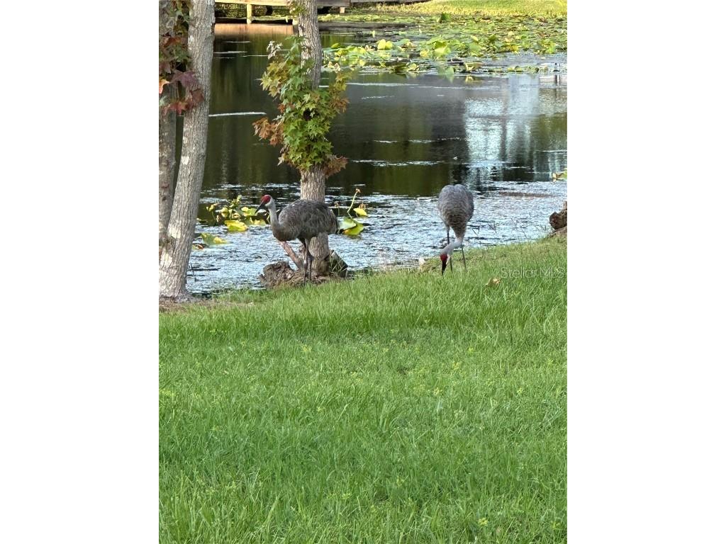 624 Hager Court Deltona FL 32725 - LAKE GLEASON O6333899 image90