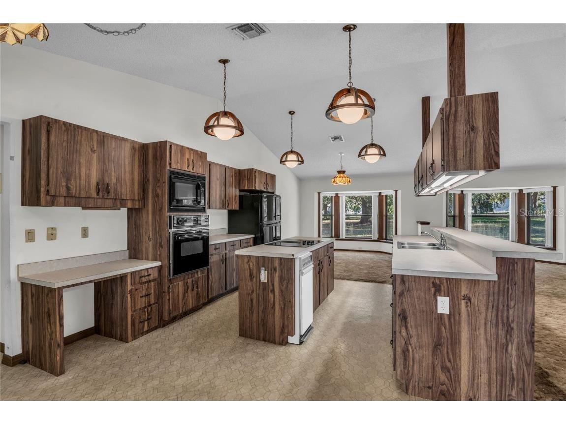 624 Hull Island Drive Oakland FL 34787 O6359887 image7