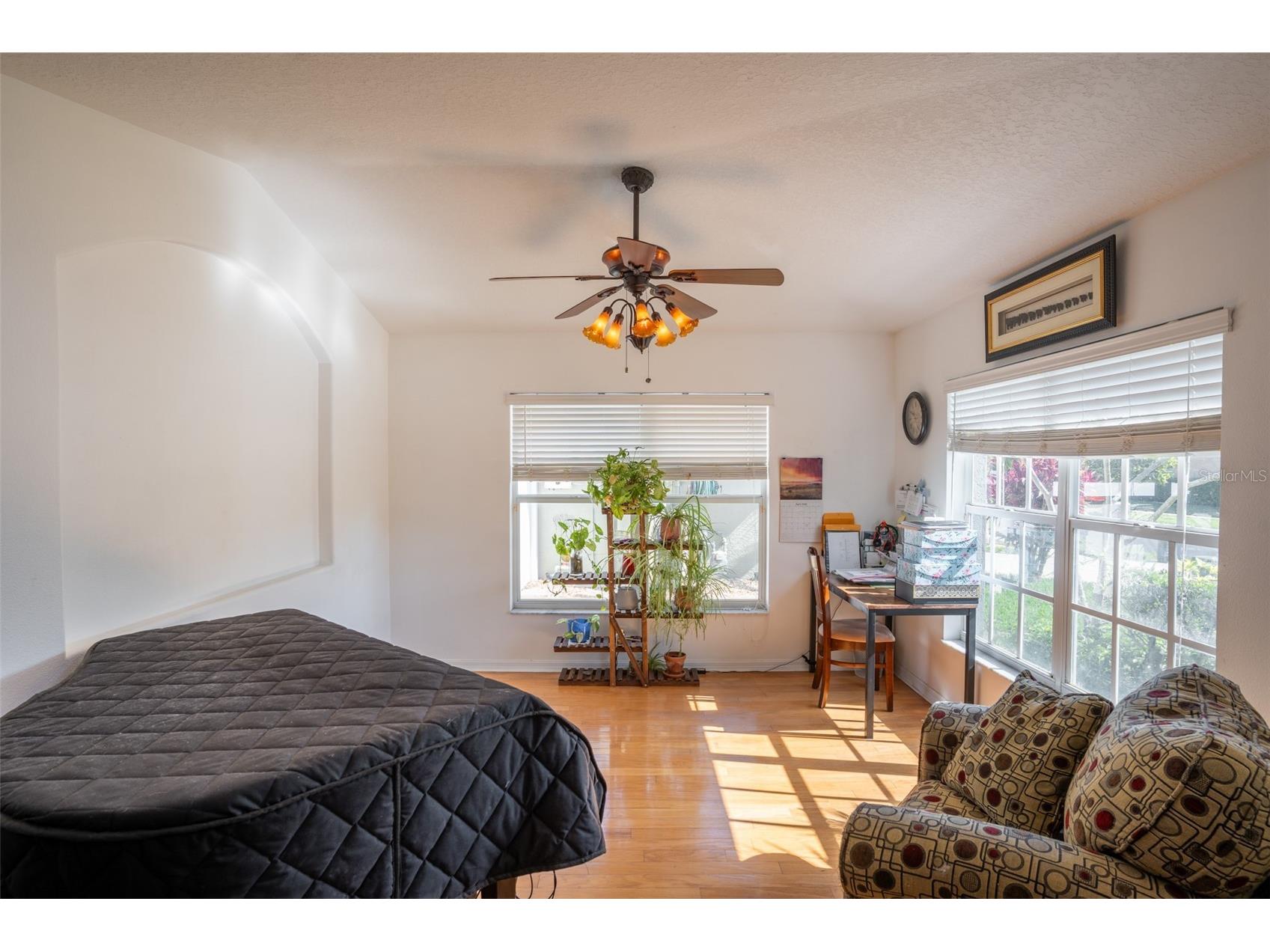 624 N Lake Boulevard Tarpon Springs FL 34689 TB8503224 image4