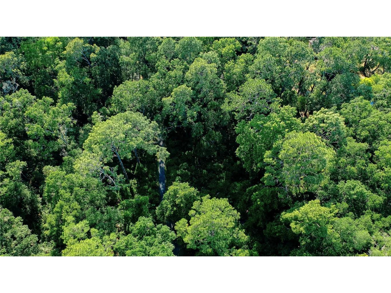 624 NE 22nd Street Gainesville FL 32641 A4605973 image1