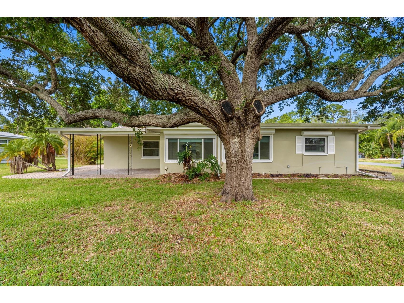 624 Orange Street Palm Harbor FL 34683 TB8495195 image39