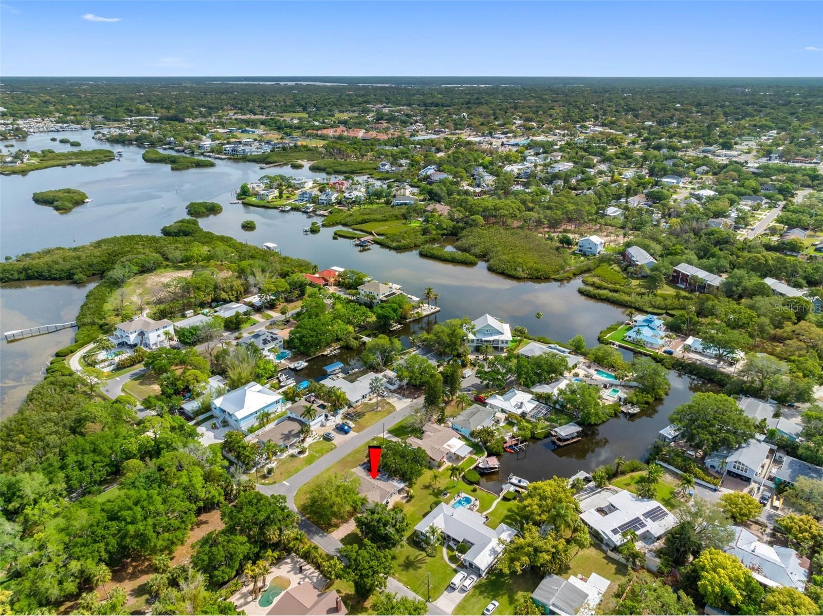 624 Orange Street Palm Harbor FL 34683 TB8495195 image49