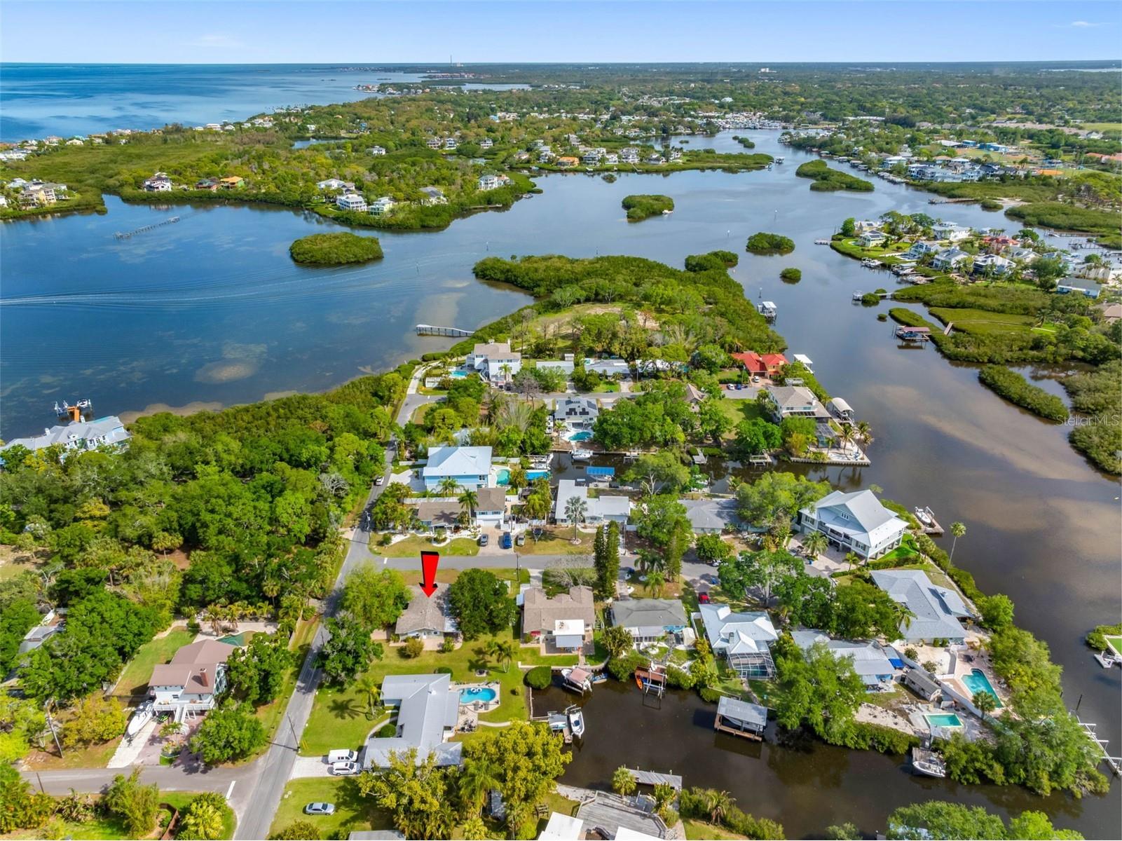 624 Orange Street Palm Harbor FL 34683 TB8495195 image50