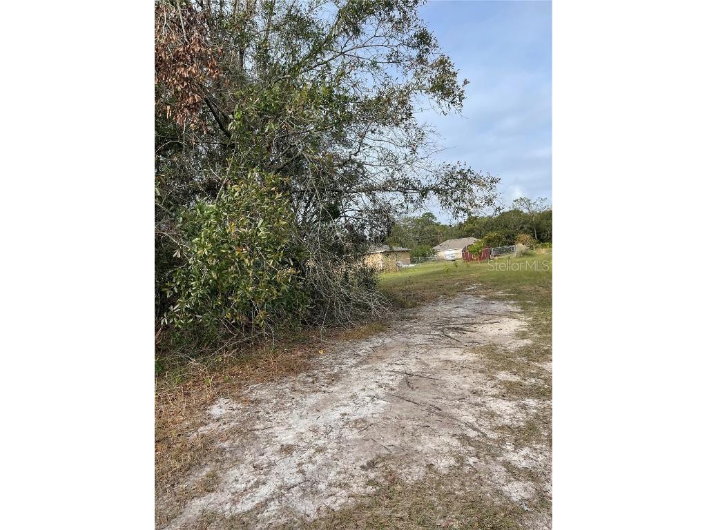 624 Wallaby Lane Kissimmee FL 34759 S5135498 image4