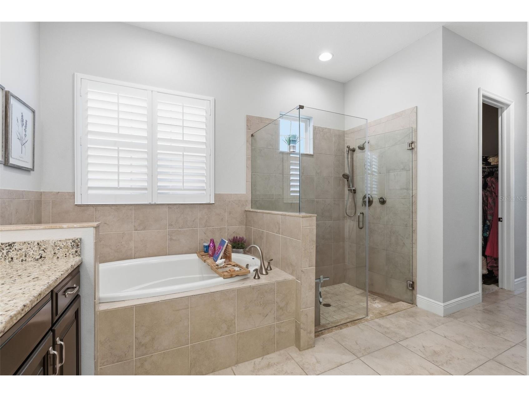 624 Winterside Drive Apollo Beach FL 33572 TB8498086 image18