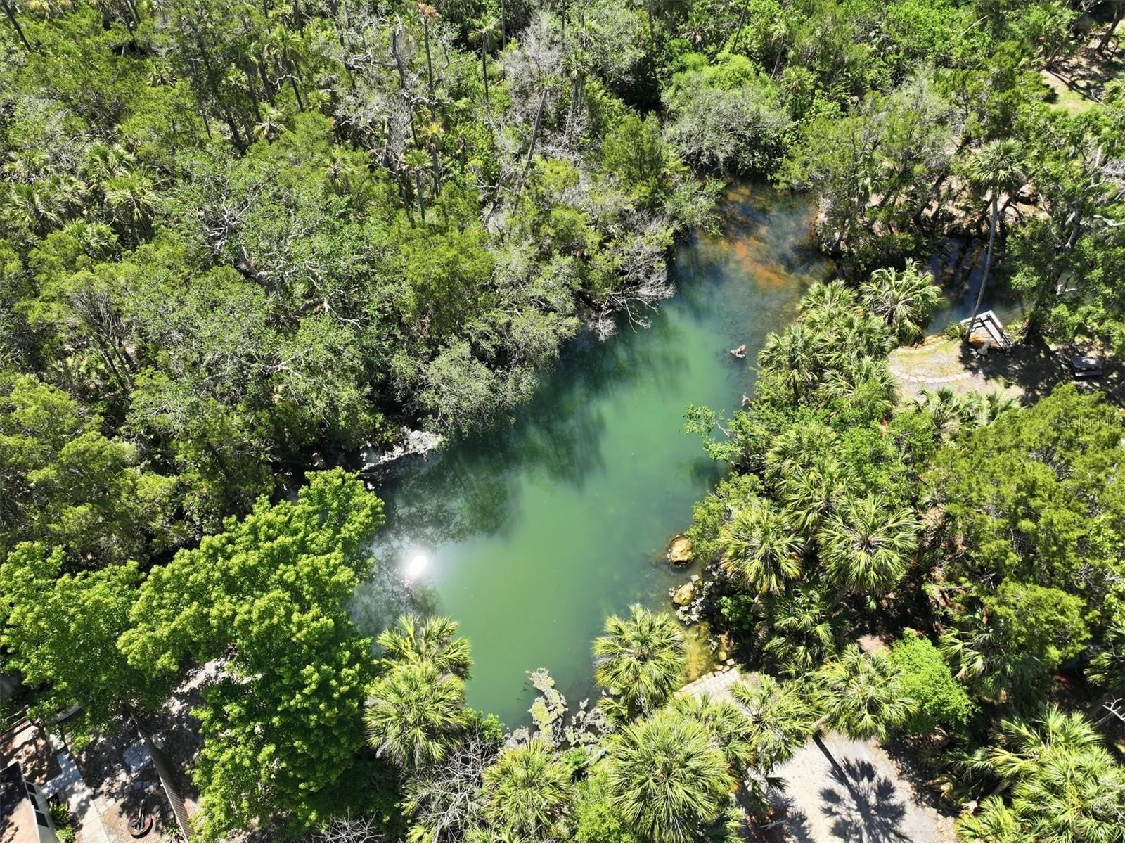 6240 Colony Circle Weeki Wachee FL 34607 - LITTLE SALT SPRING RUN W7885884 image11