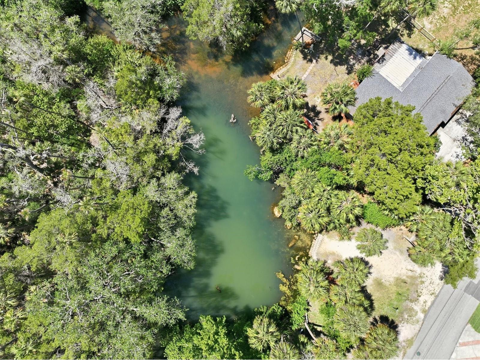 6240 Colony Circle Weeki Wachee FL 34607 - LITTLE SALT SPRING RUN W7885884 image13