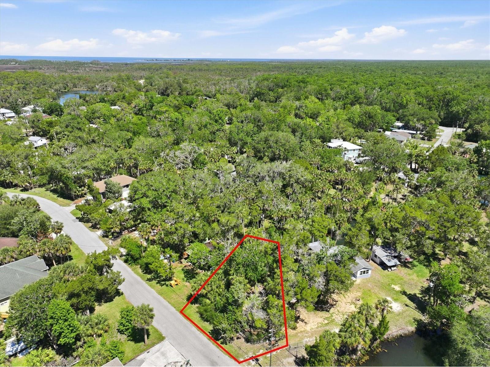 6240 Colony Circle Weeki Wachee FL 34607 - LITTLE SALT SPRING RUN W7885884 image2
