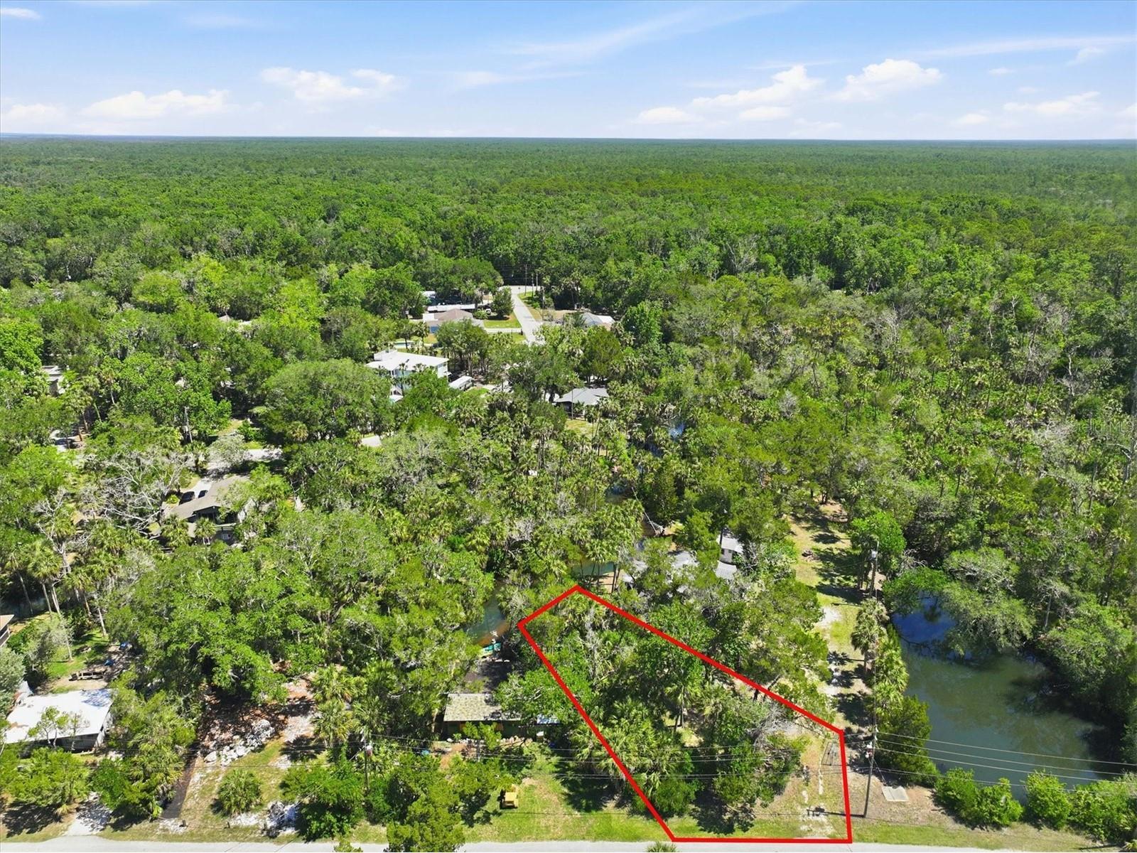 6240 Colony Circle Weeki Wachee FL 34607 - LITTLE SALT SPRING RUN W7885884 image7