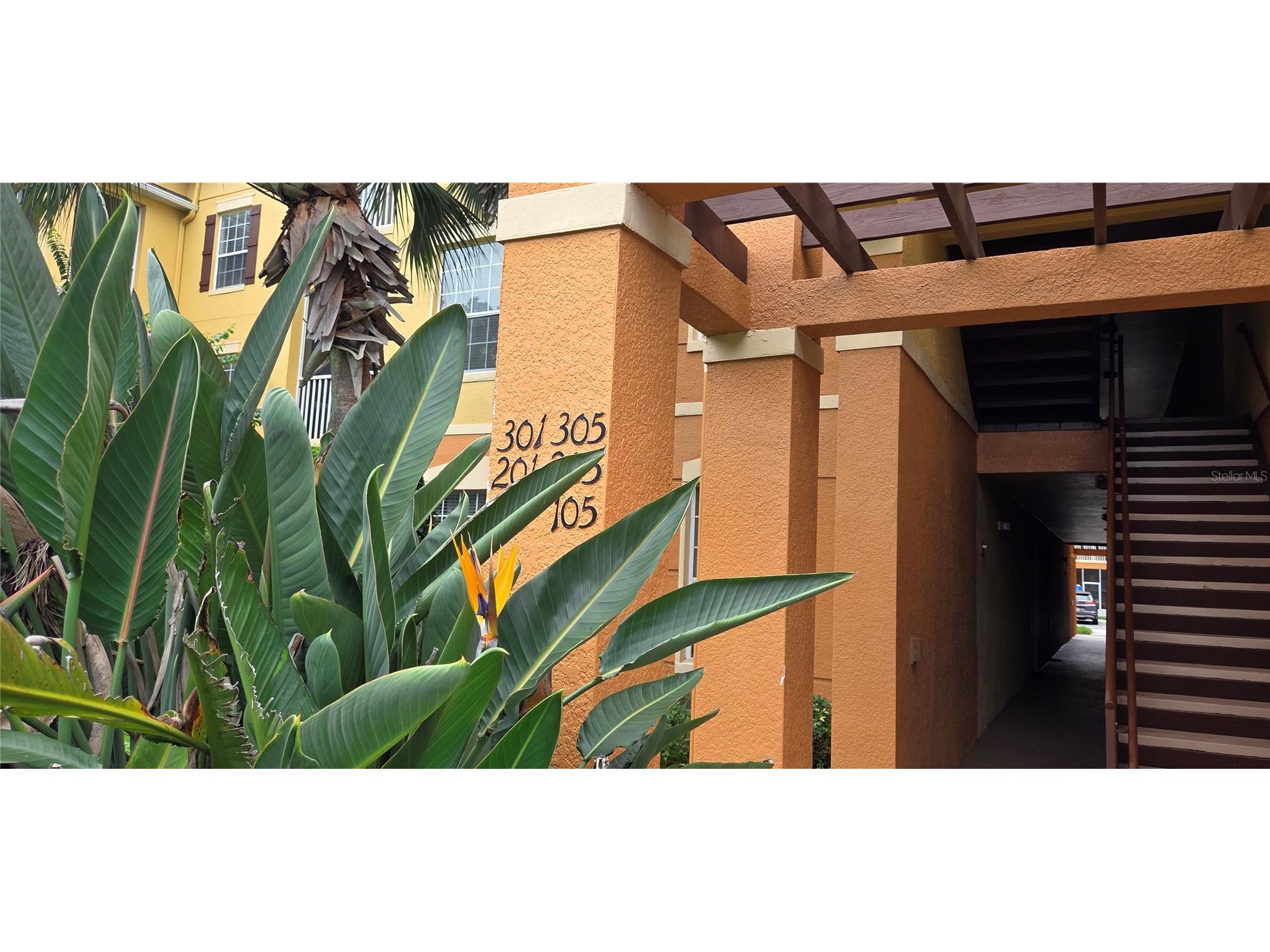 6240 Contessa Drive #103 Orlando FL 32829 S5153997 image4