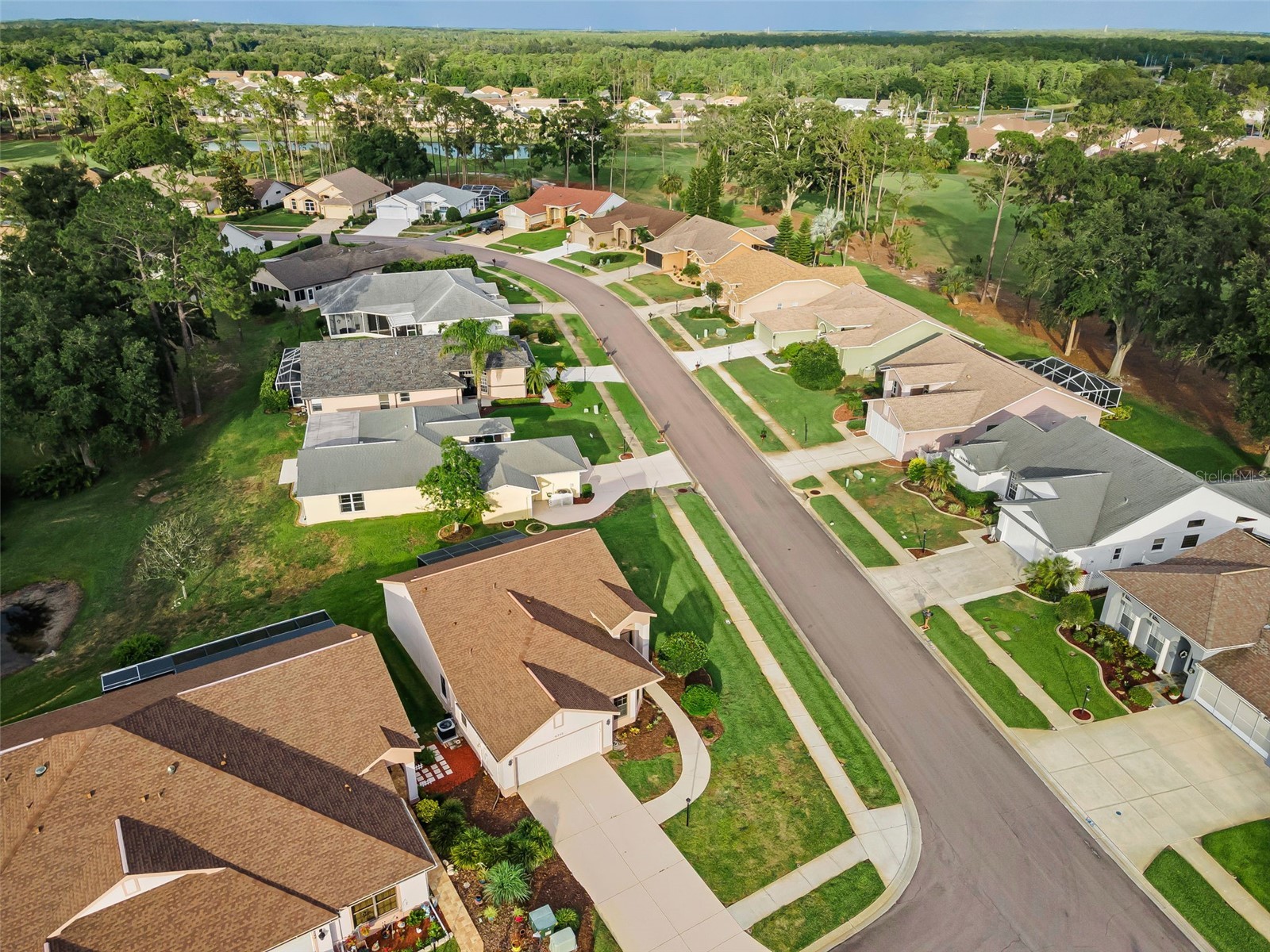 6240 Fairskies Drive New Port Richey FL 34655 W7886169 image10
