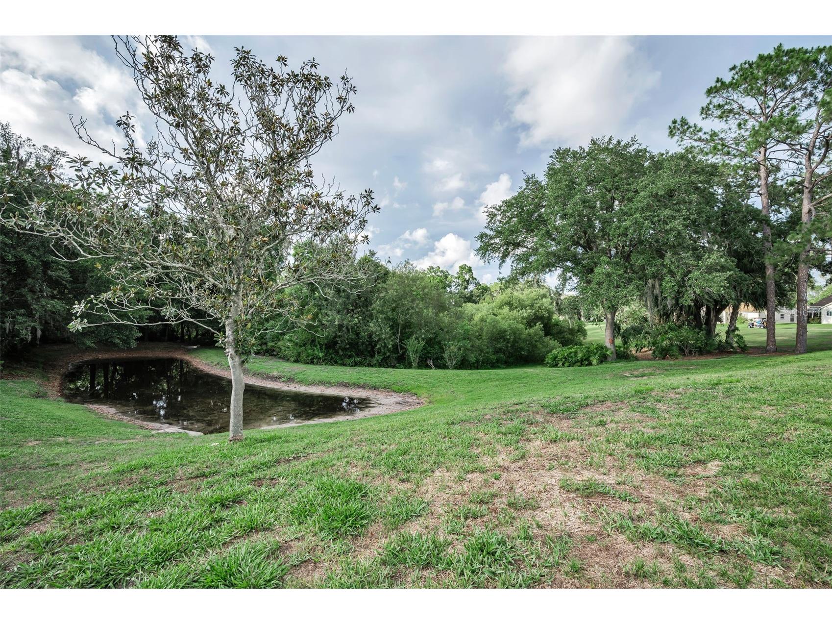 6240 Fairskies Drive New Port Richey FL 34655 W7886169 image50