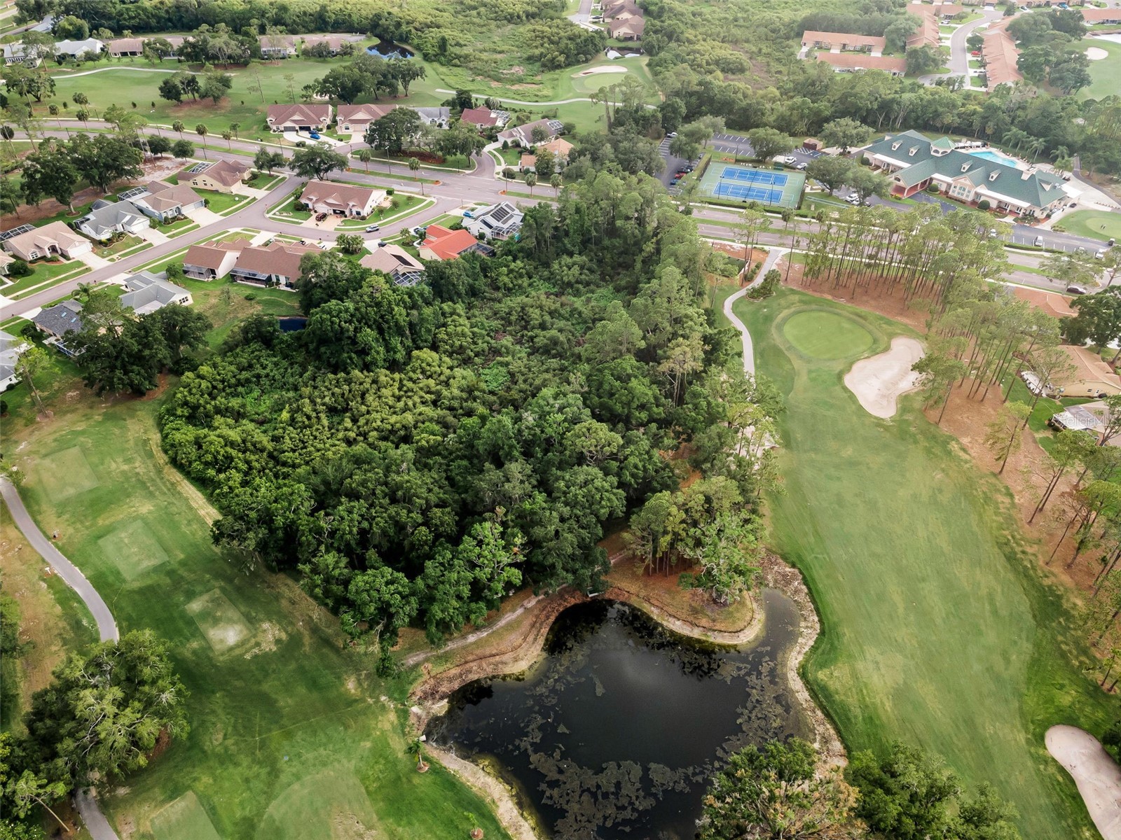 6240 Fairskies Drive New Port Richey FL 34655 W7886169 image55