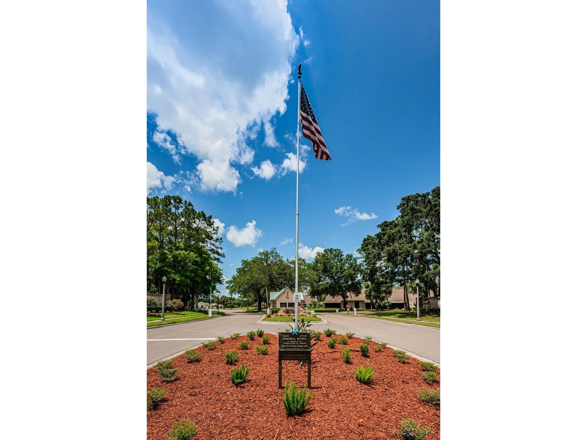 6240 Fairskies Drive New Port Richey FL 34655 W7886169 image62