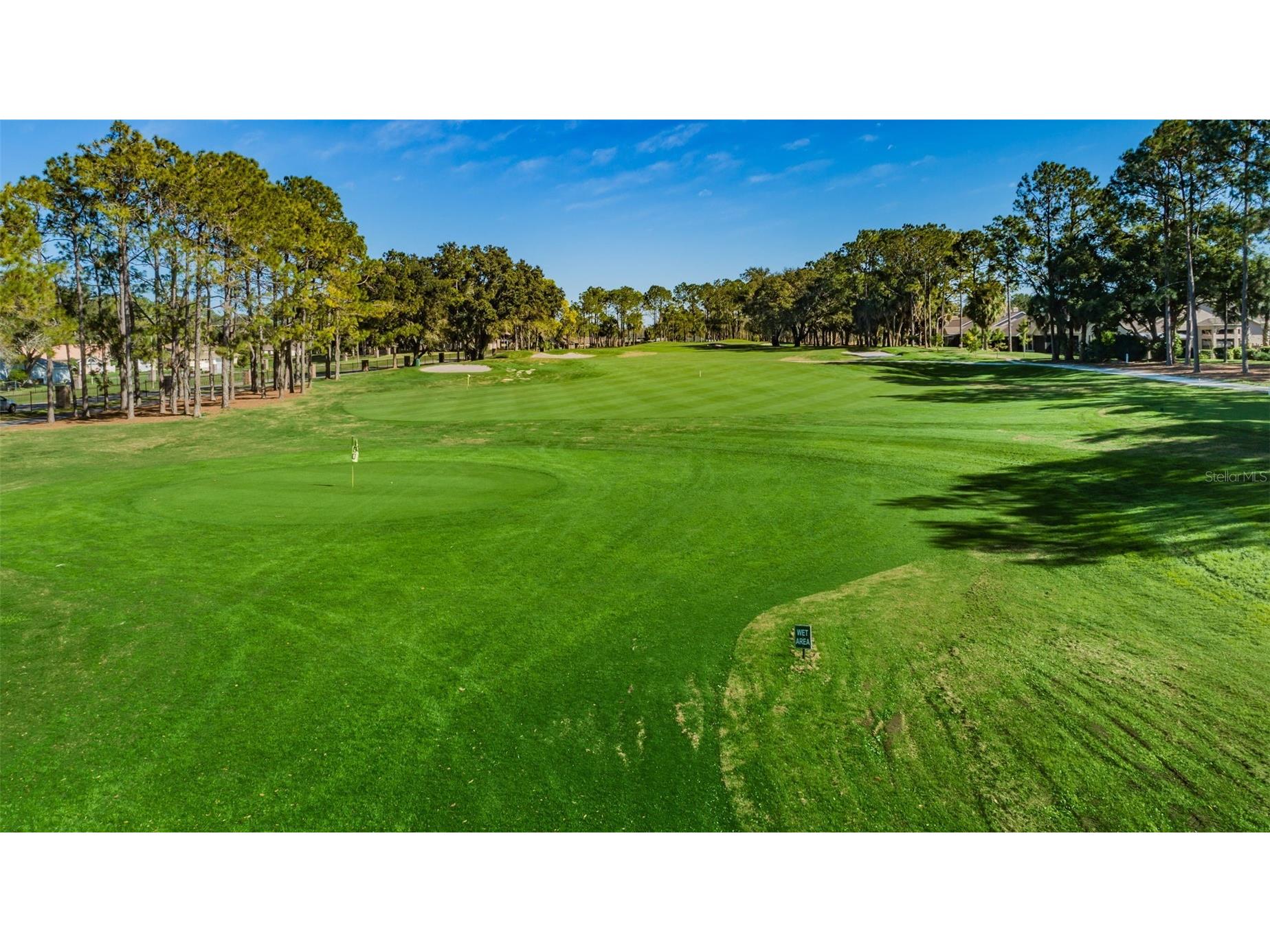 6240 Fairskies Drive New Port Richey FL 34655 W7886169 image67