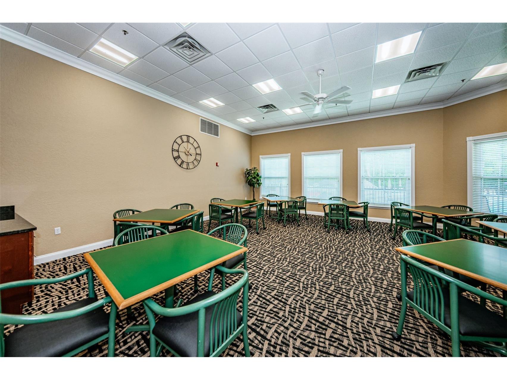 6240 Fairskies Drive New Port Richey FL 34655 W7886169 image77