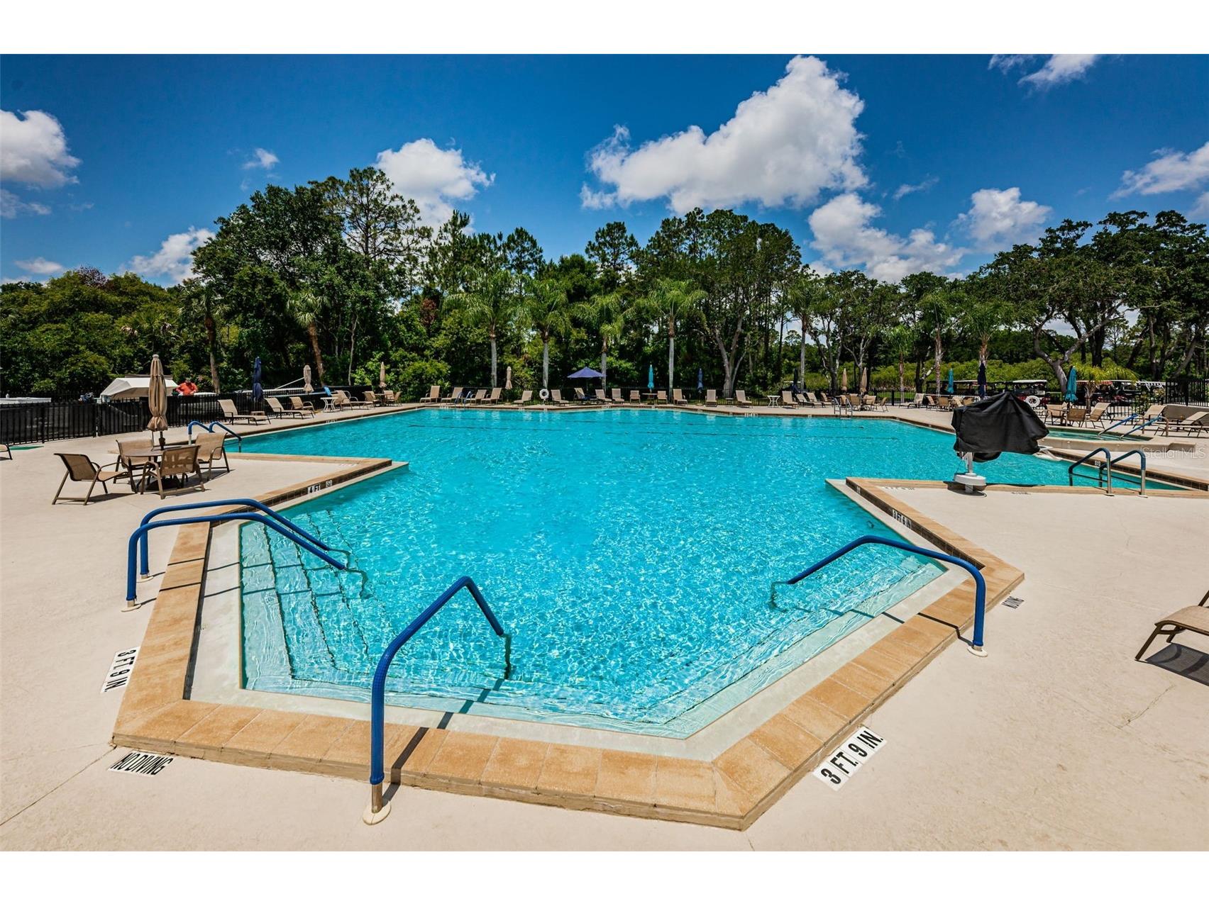 6240 Fairskies Drive New Port Richey FL 34655 W7886169 image81