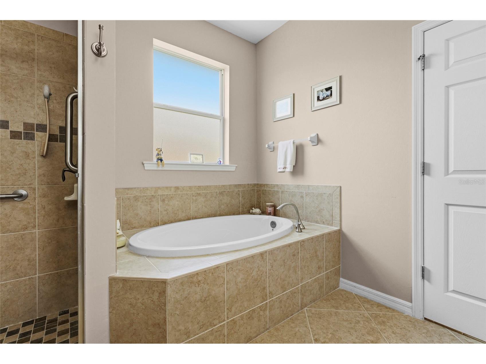 6240 Falcon Lair Drive North Port FL 34287 A4689061 image36