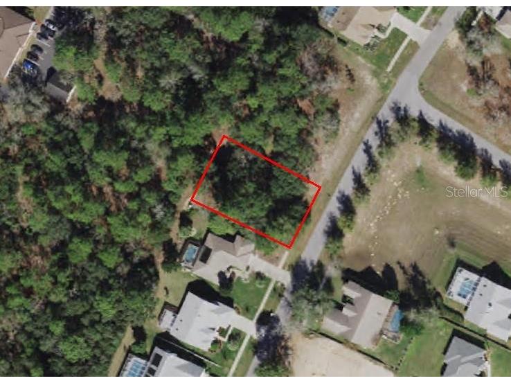 6240 N Misty Oak Terrace Beverly Hills FL 34465 C7478195 image1