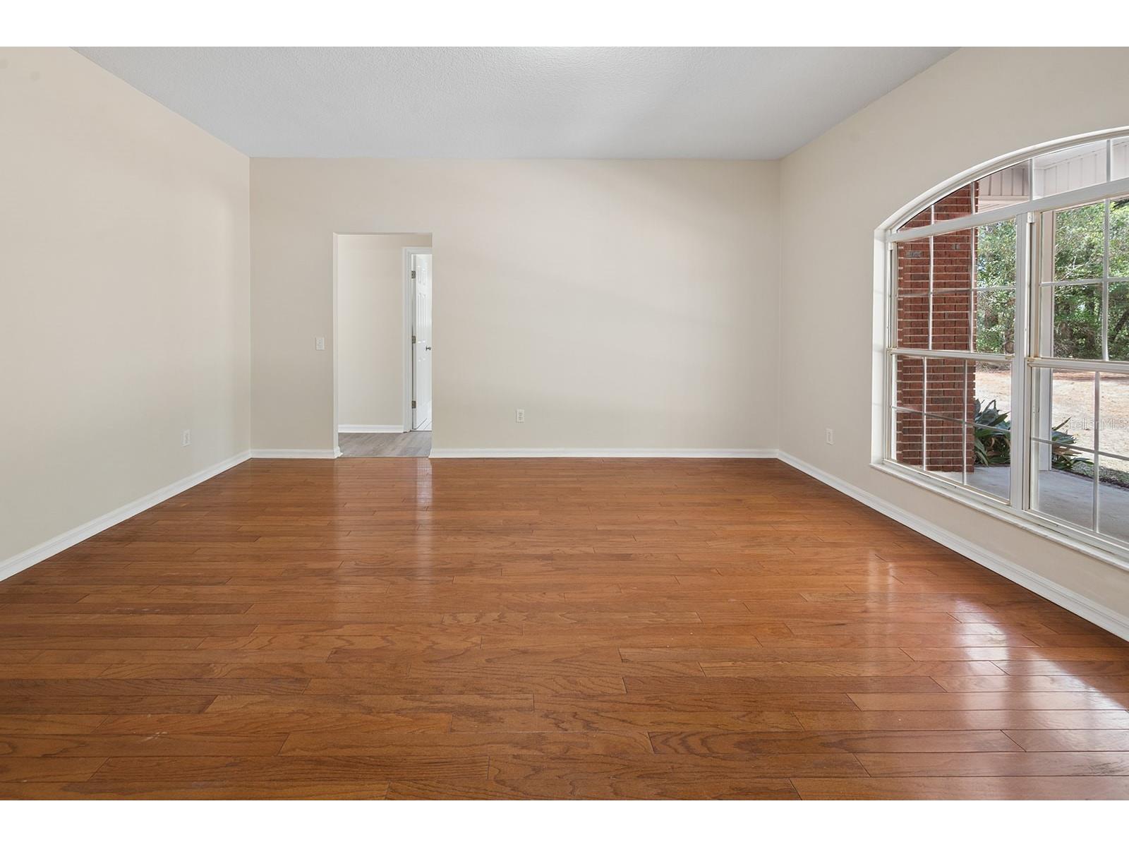 6240 Payne Road Keystone Heights FL 32656 GC539740 image7