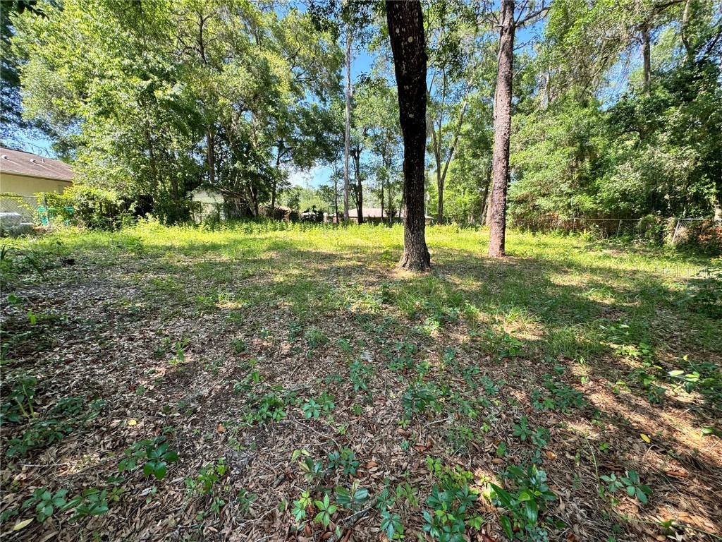 6241 E Willow Street Inverness FL 34452 TB8453986 image3