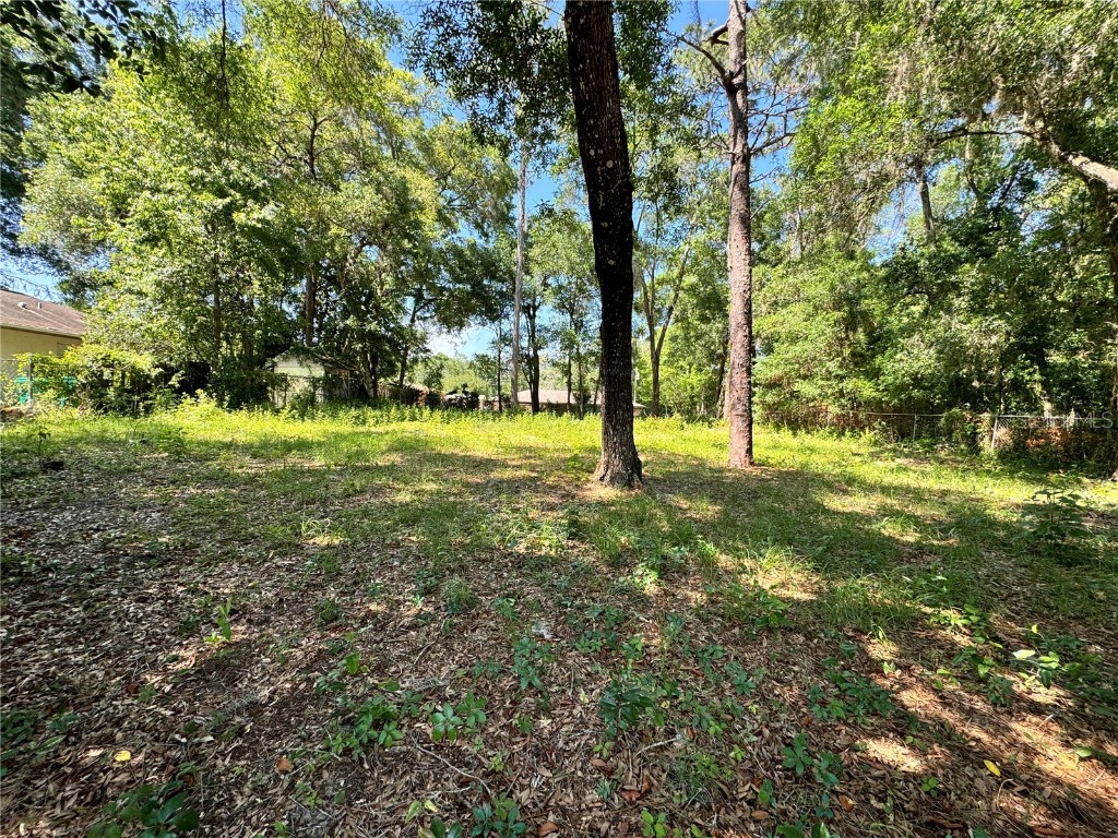 6241 E Willow Street Inverness FL 34452 TB8453986 image6