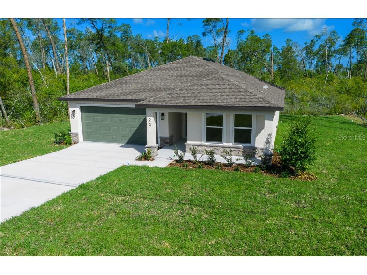 6241 Freeport Drive Spring Hill FL 34608 O6397652 image41