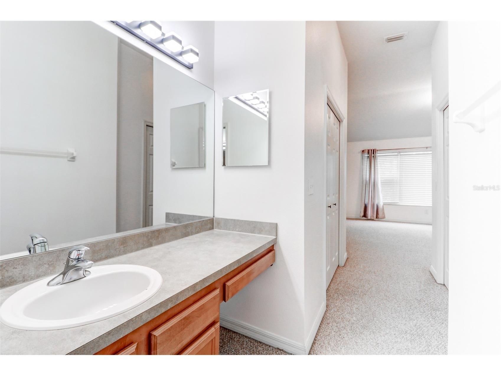 6243 Duck Key Court Tampa FL 33625 TB8485370 image24