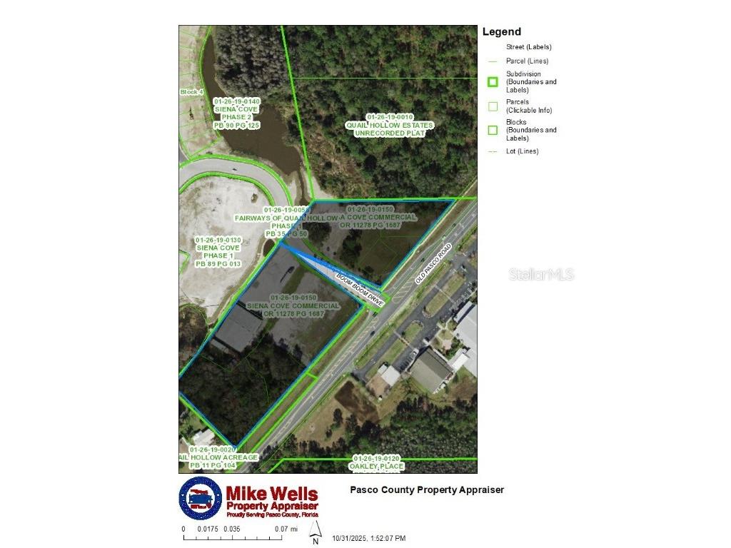 6243 Old Pasco Road Wesley Chapel FL 33544 TB8443704 image1