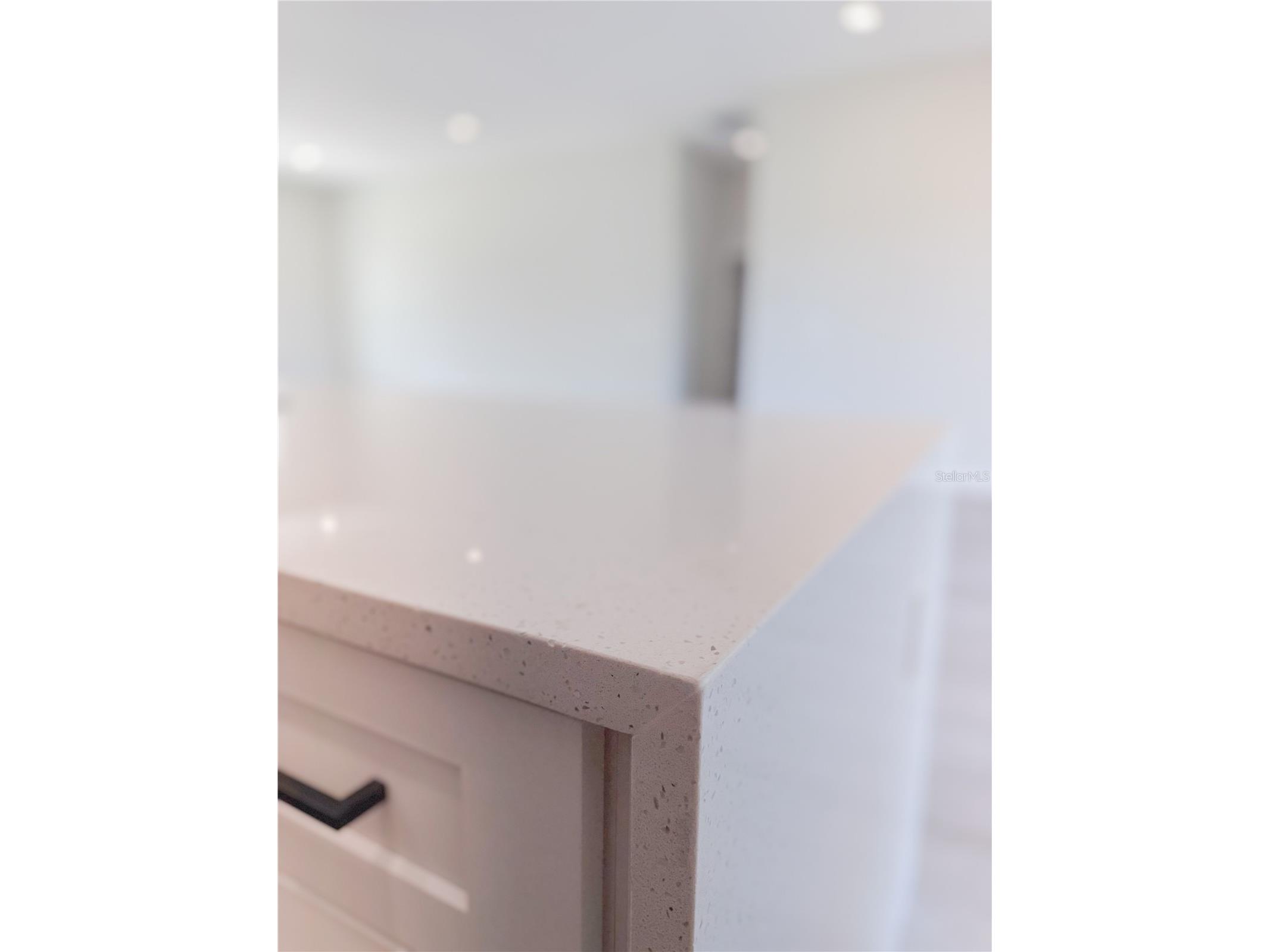 6243 SW 133rd Street Road Ocala FL 34473 O6349289 image31