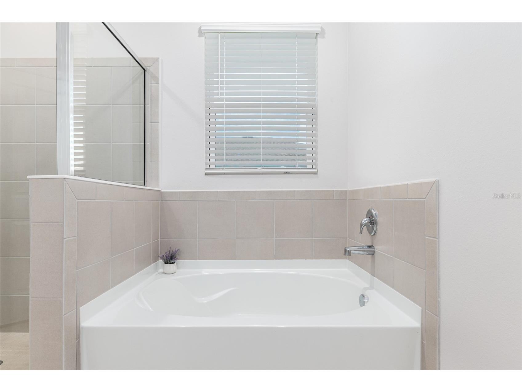 6243 SW 89th Street Road Ocala FL 34476 OM716044 image20