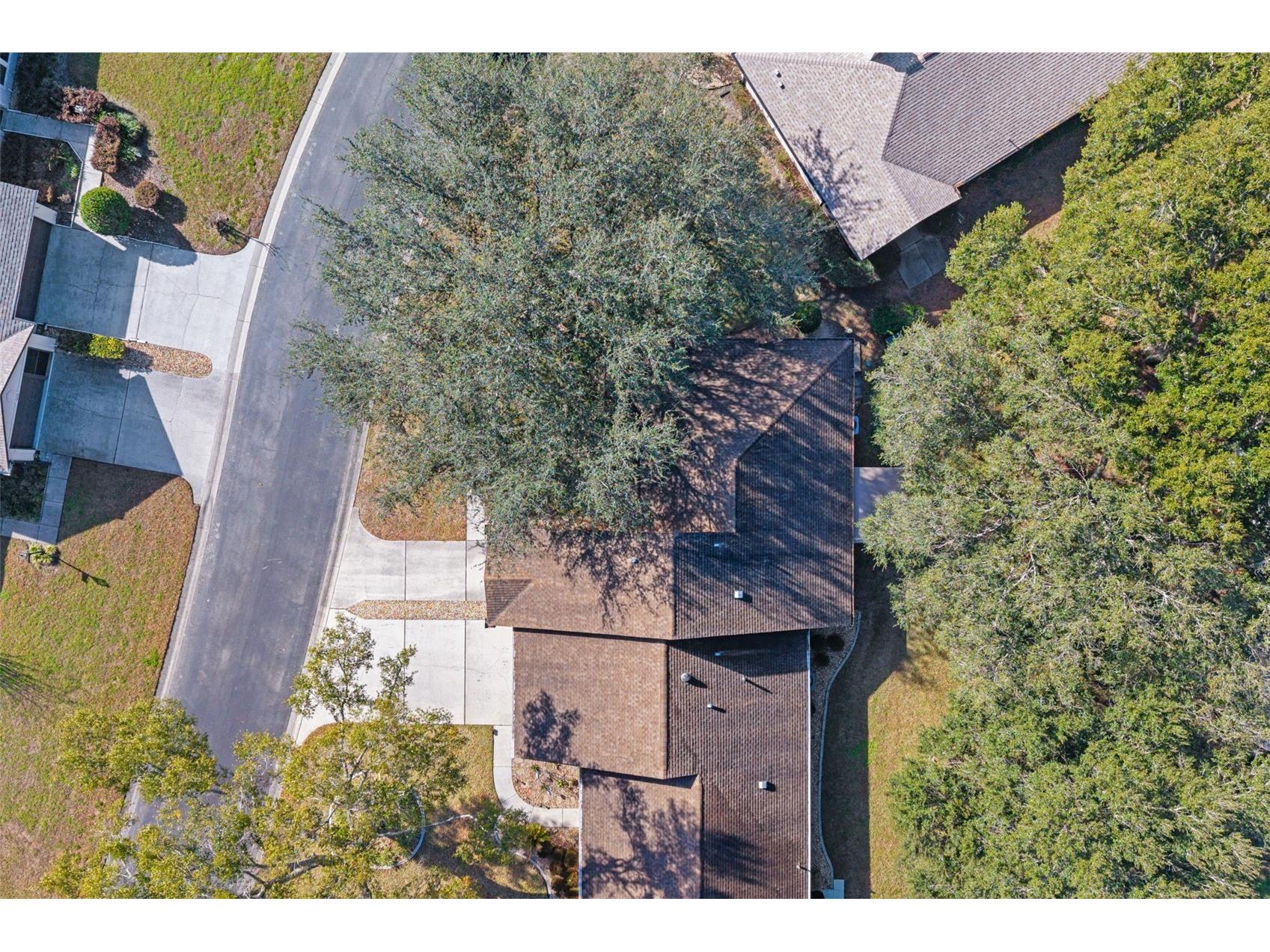 6243 W Lexington Drive Crystal River FL 34429 OM716440 image40